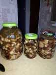 Продам грибы валуи и грузди !!!