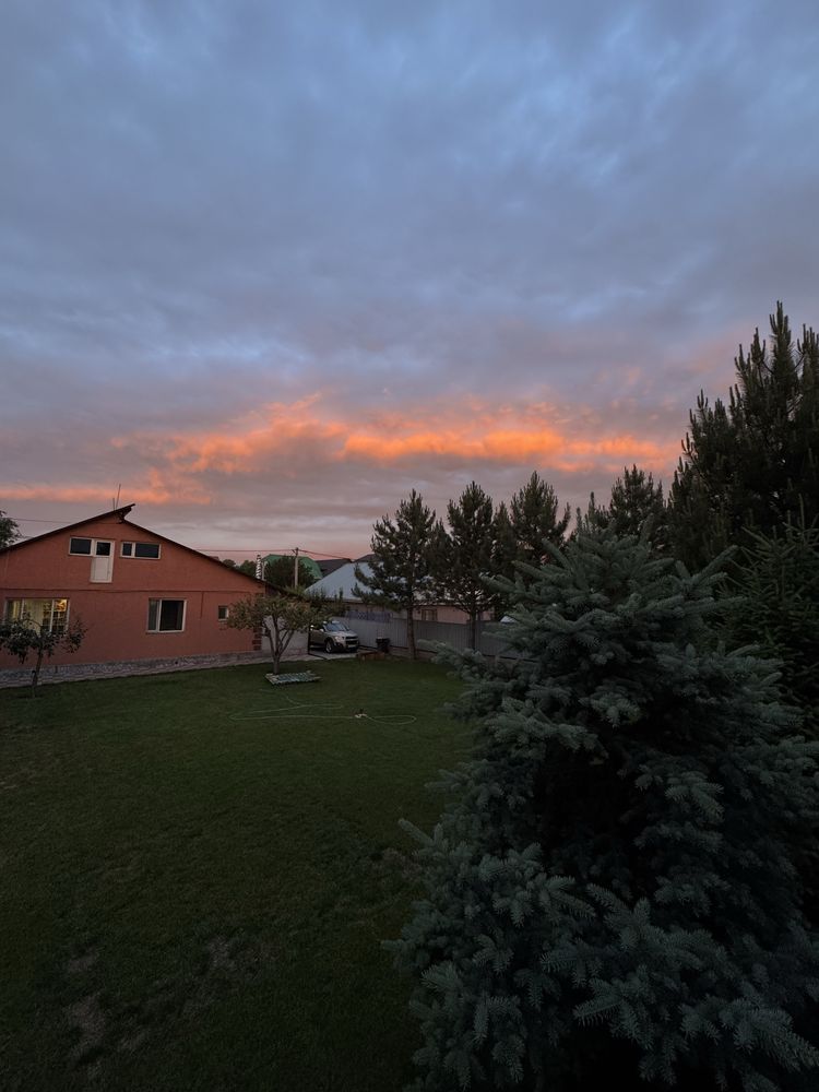 Продам дом в с.Алмалыбак