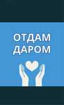 Отдам даром детские вещи для мальчика В хорошем состоянии.