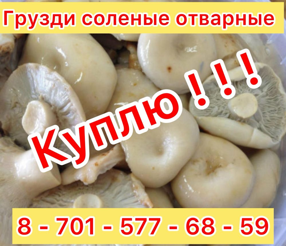Грузди соленые отварные