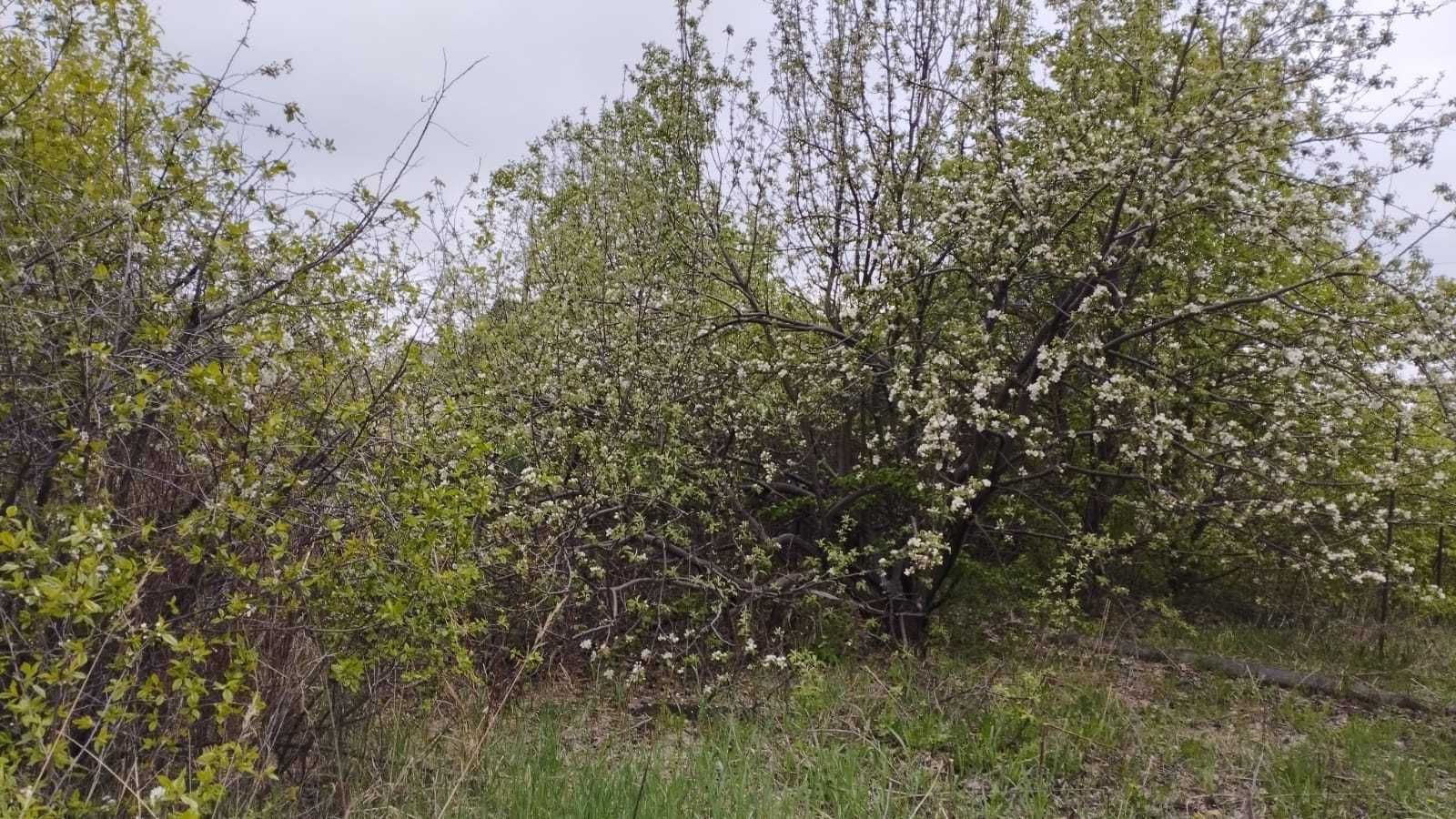 Продается земельный участок в СО Железо бетонщик