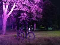 BMX(можно по запчастям)