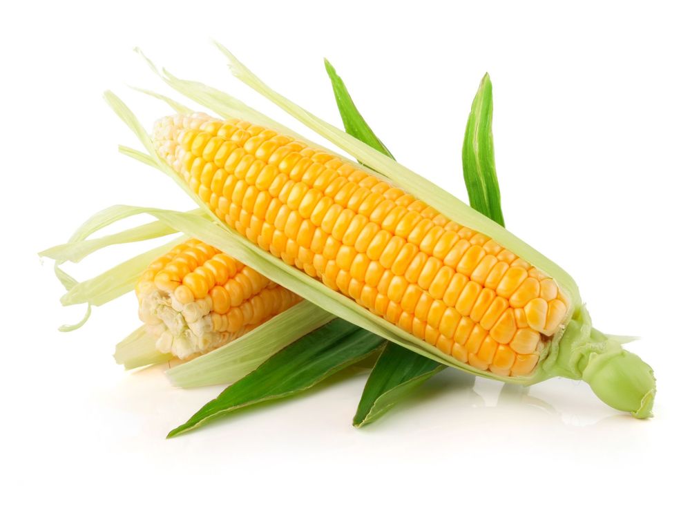 Продам кукурузу 250/шт продается мешками