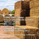 Сено и сенаж люцерны