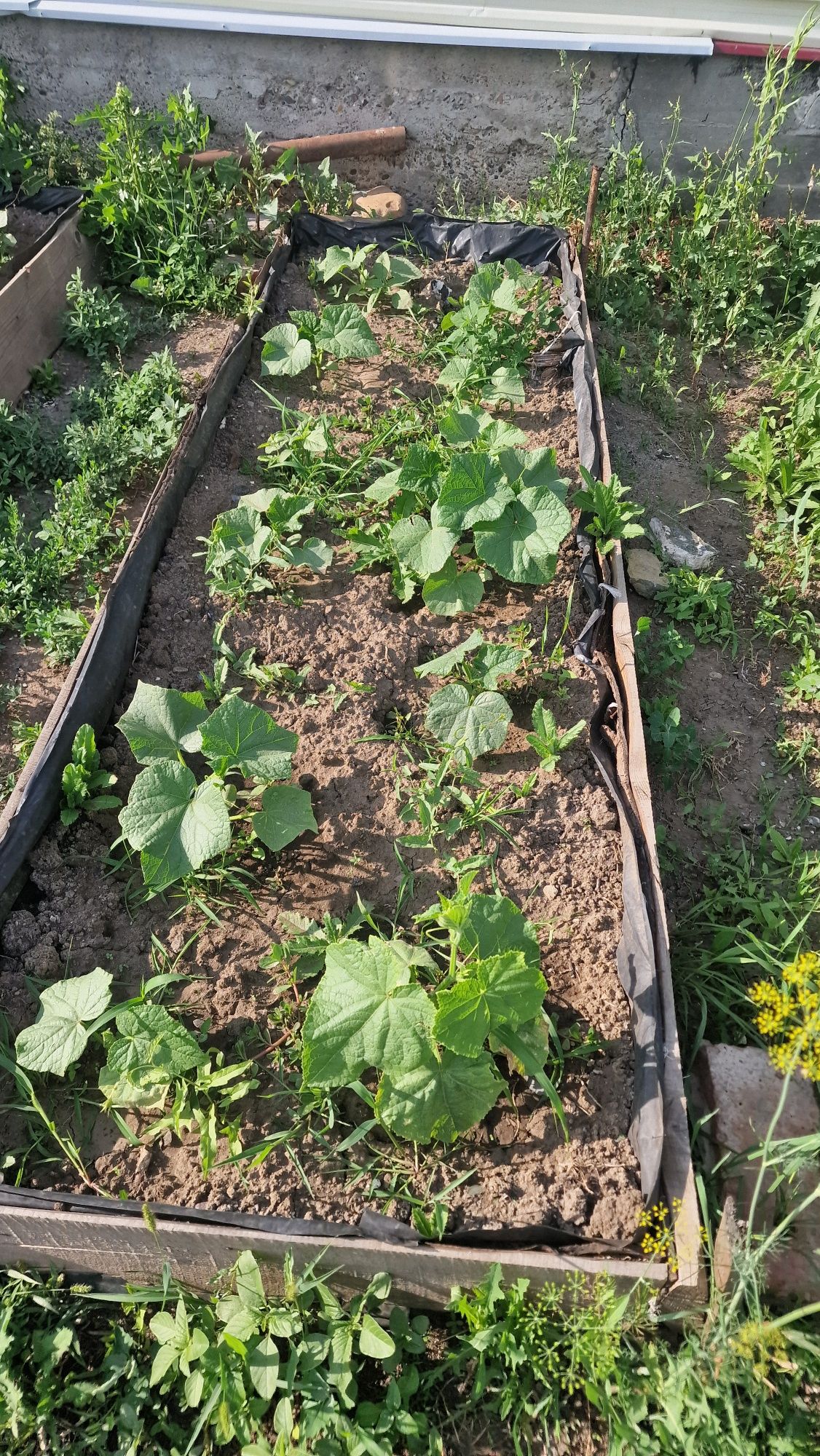 Продам дом 3х комнатный Ахмирово