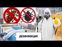 Профессиональная химия дезинфекция туман клопы тараканы блохи крысы