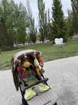 Продам прргулочную коляску Easywalker
