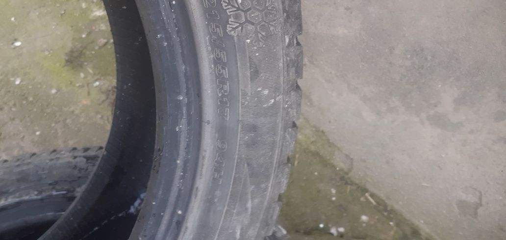 Зимние баллоны 215/55/17