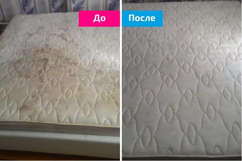 Аренда 5000 тнг моющего пылесоса Kaercher