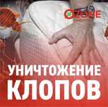 Дизенфекция дизенсекция от клопов тараканы