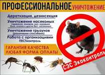 Дезинфекция Уничтажения