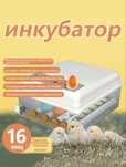 Инкубатор на 16 яиц