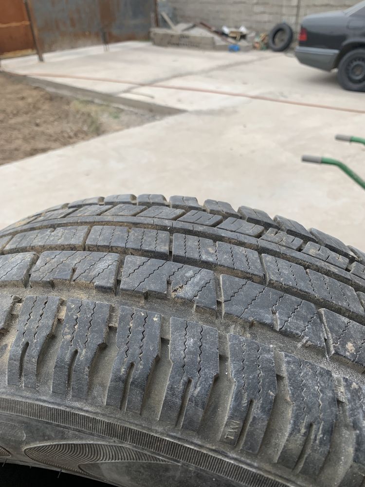 Автошины