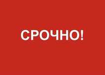 Ищу ИП (подробности по ватсап)