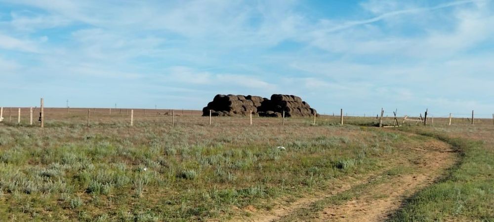 Мал шаруашылығы сатылады