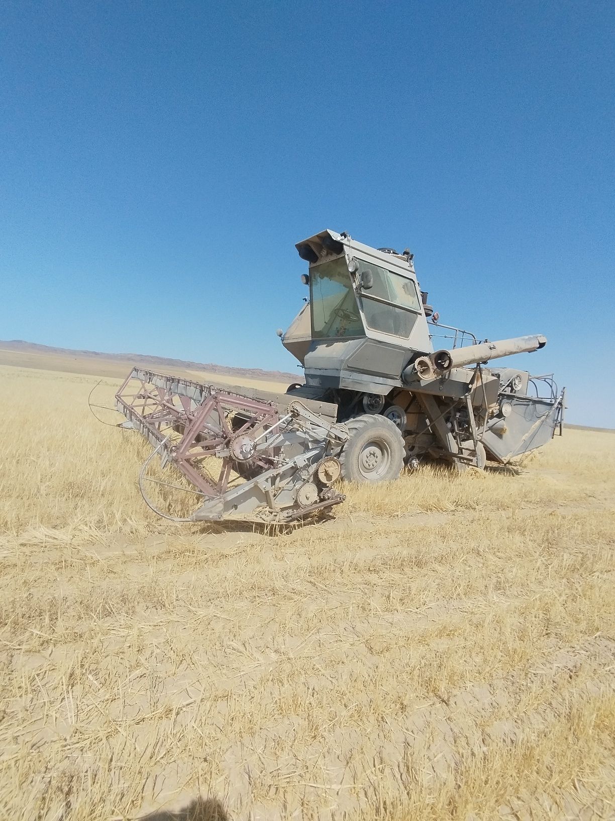 Нива срочно продам торг есть