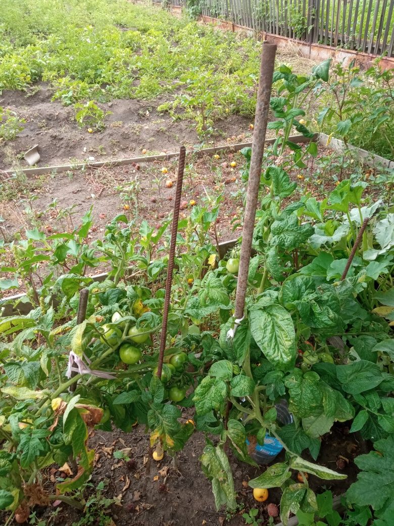 Продаю дачу с участком  7 соток с уражаем