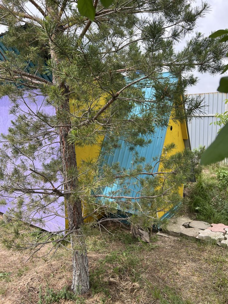 Продается дача Турарские дачи