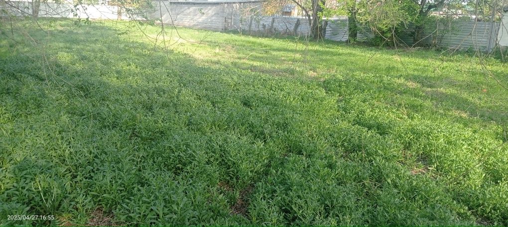Земля Жанакурлусе