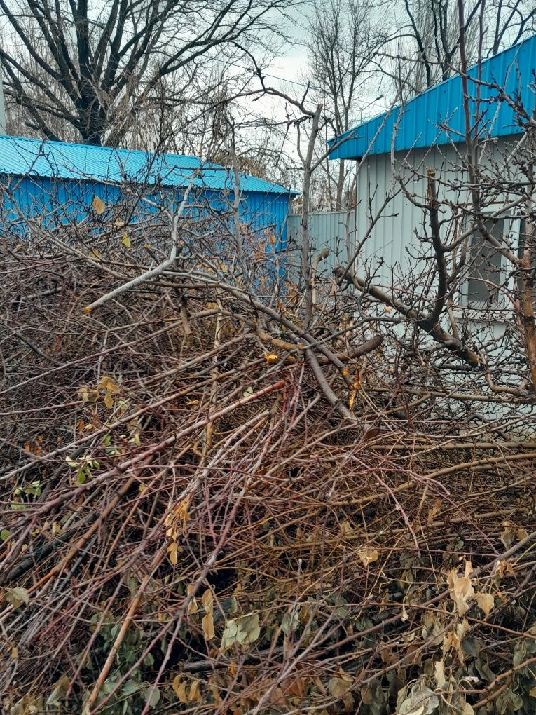 Отдам на дрова даром