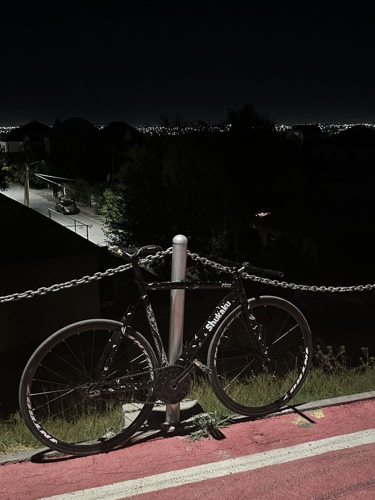 Fixed Gear.Frame set