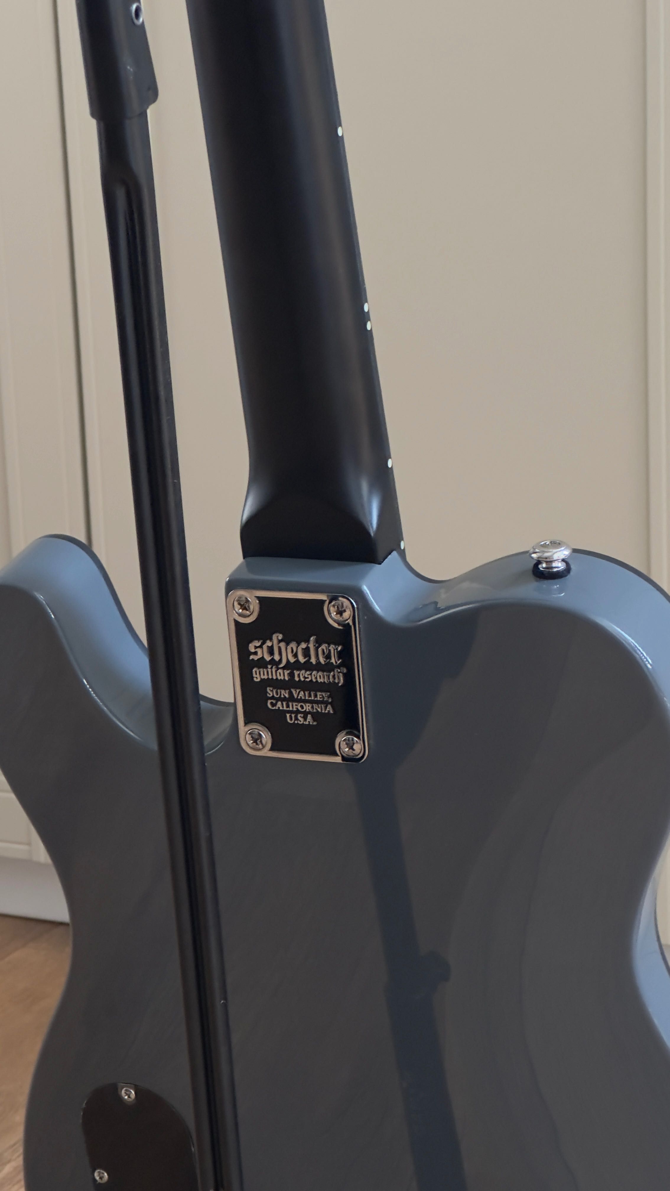 Электрогитара SCHECTER PT EX Dorian Grey