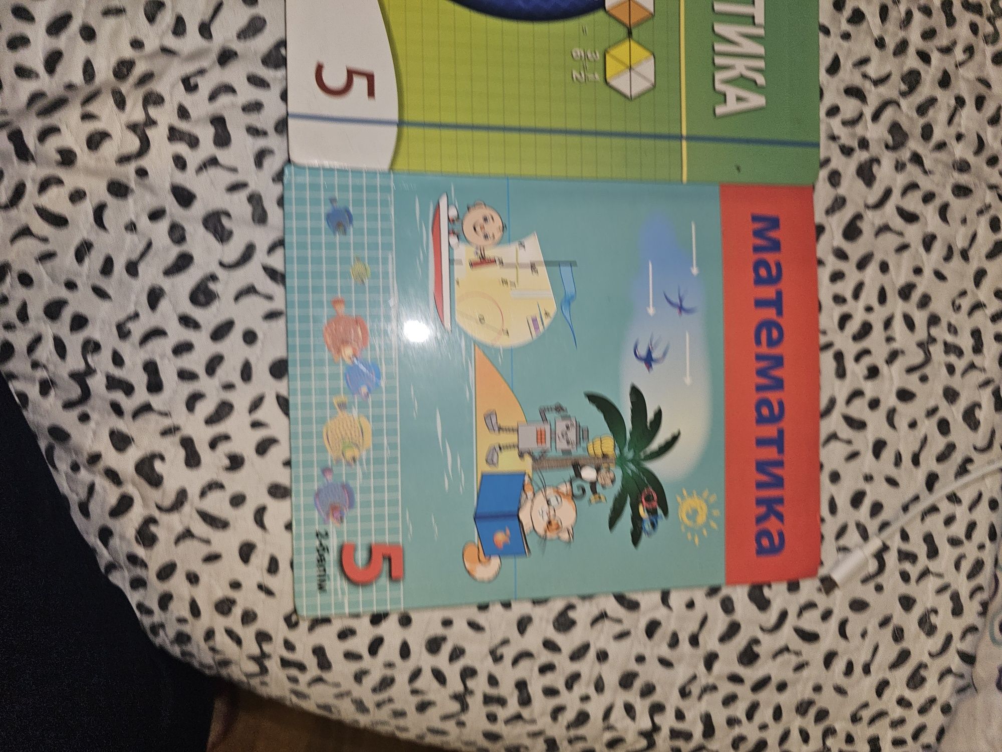 Математика 5 класс