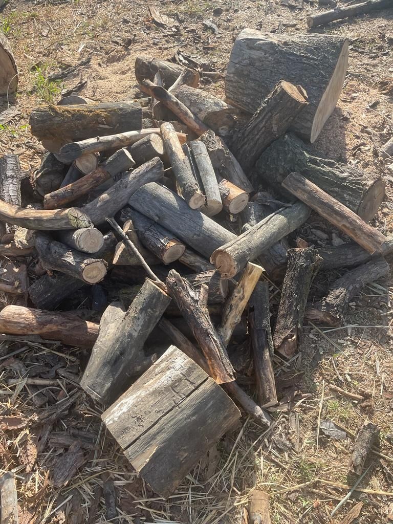 Продам дрова карагач, дуб, ясень, тополь