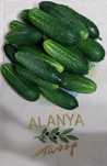 Продам домашние огурчики