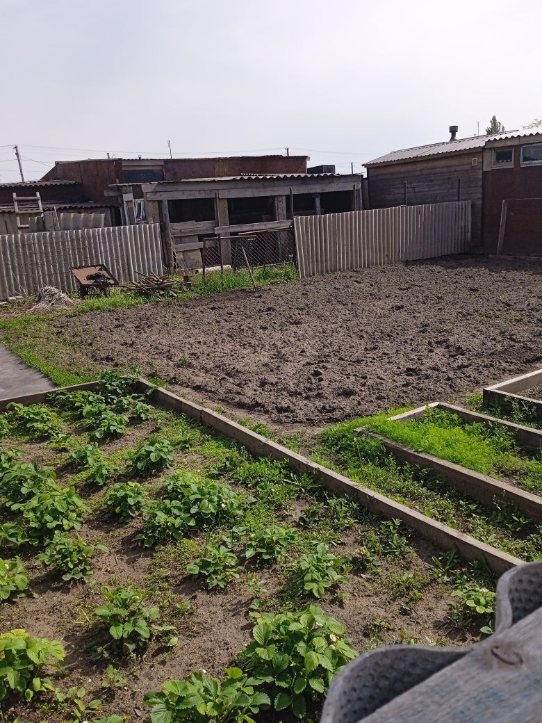 Продается дом село Перцевка