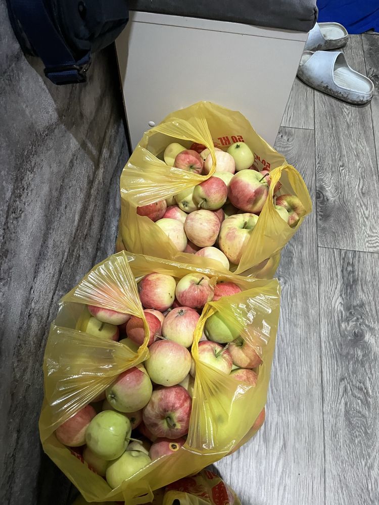 Слива,яблоки дачные