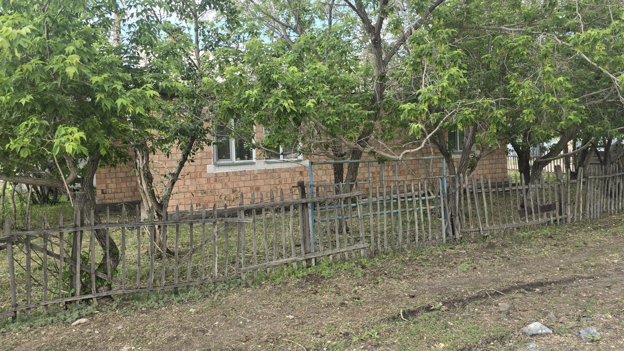 Продаю дам Егіндібұлак