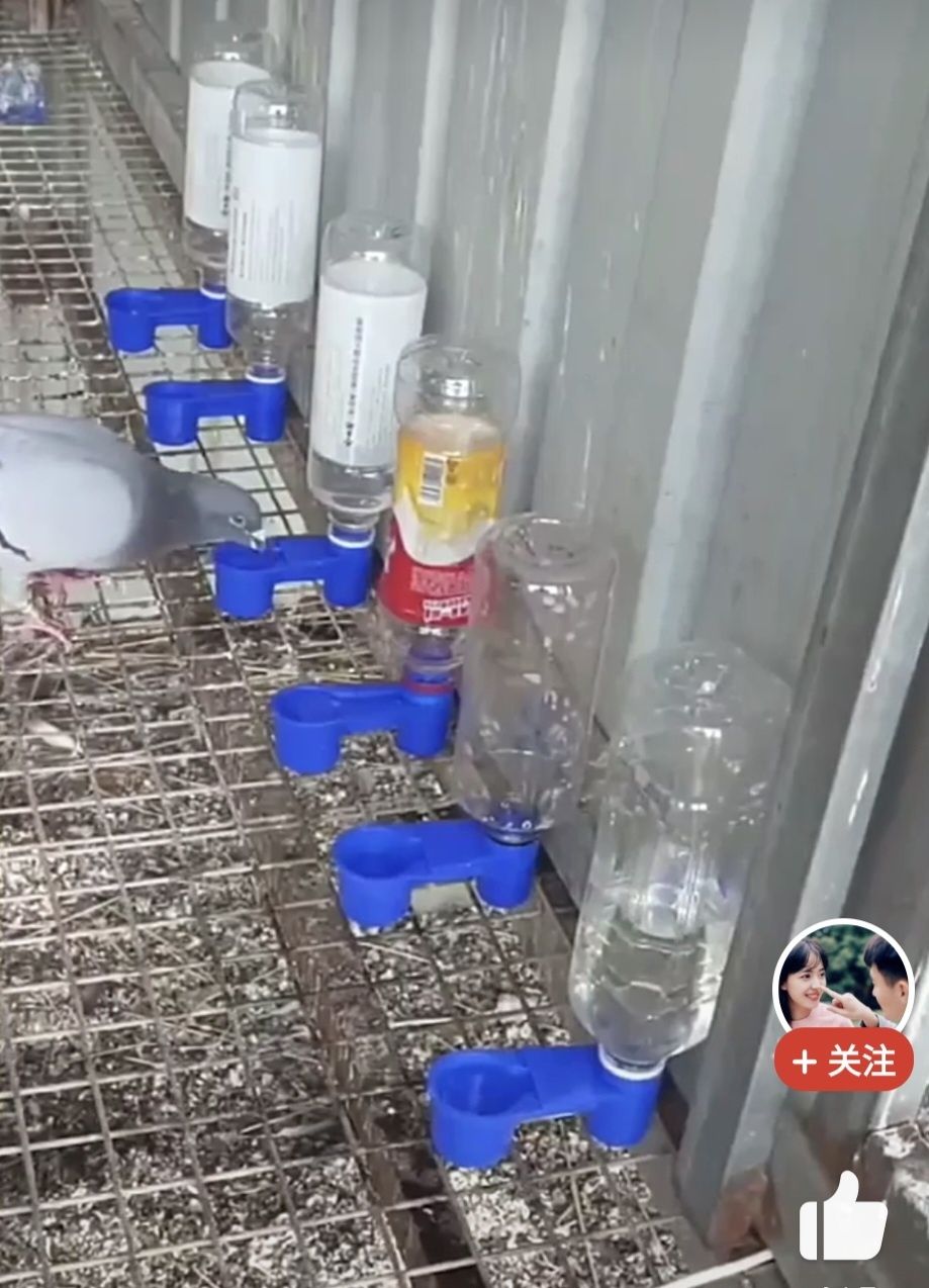 Продам поилки на бутылку