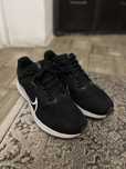 Nike pegasus air