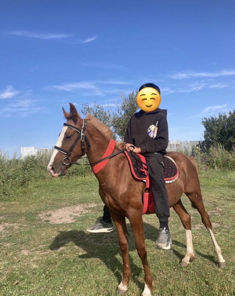 Тай сатам жасы 1 де