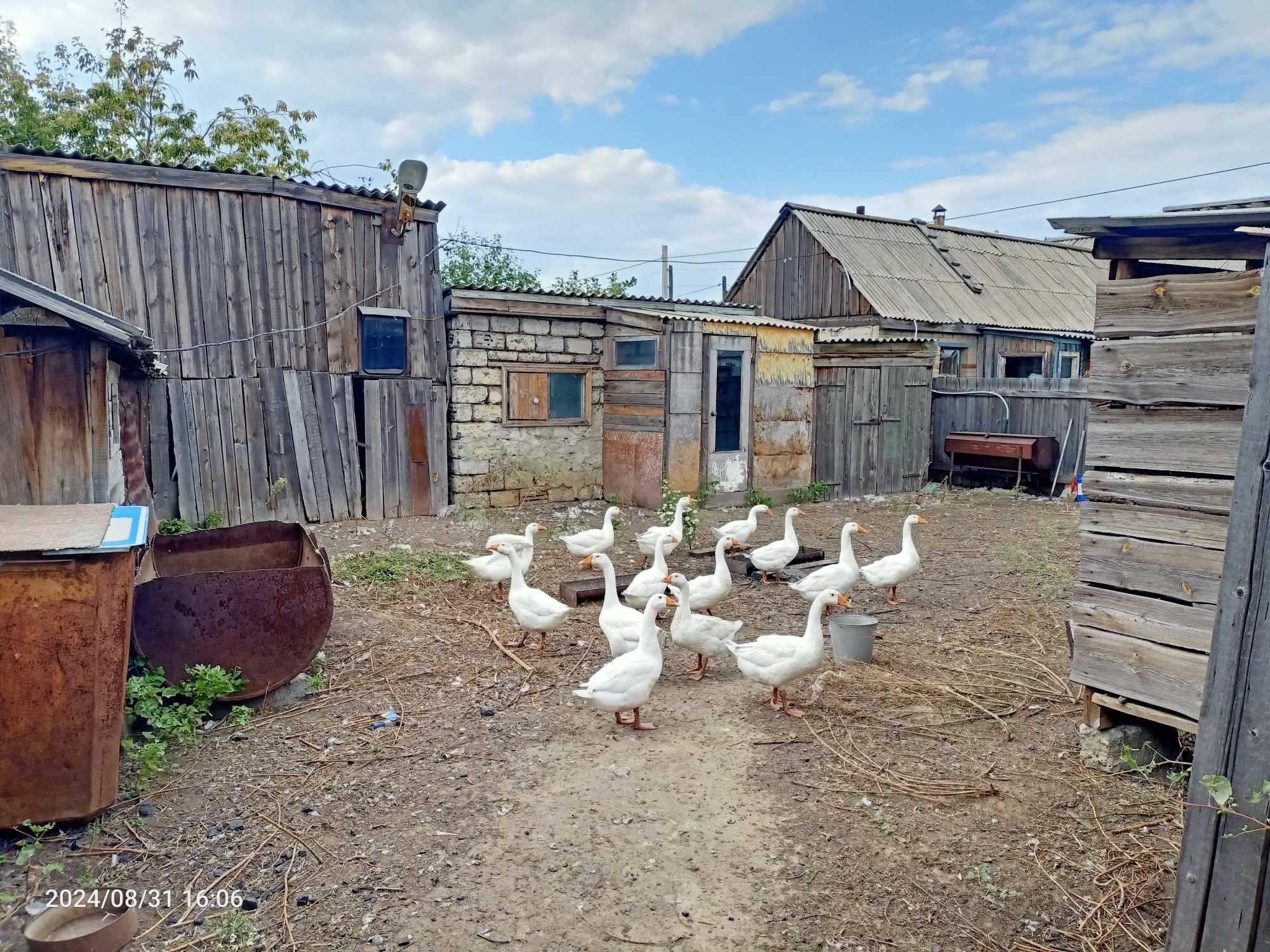 Продам квартиру в двух этажном доме