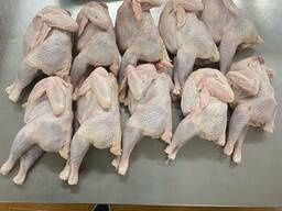 Продается домашние куры бульонные, бройлеры, утки, гуси