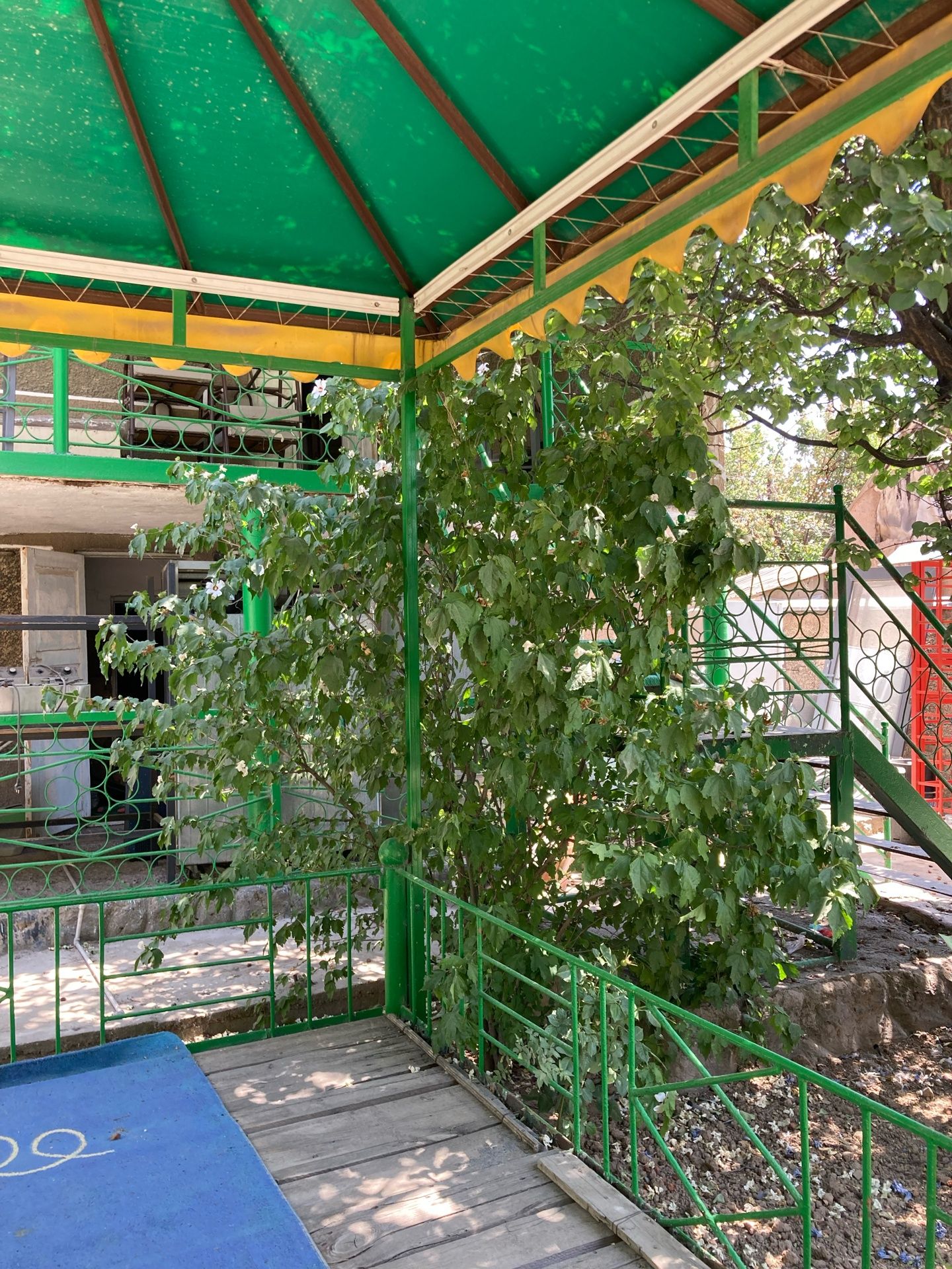 ДОМ продается . Срочно.