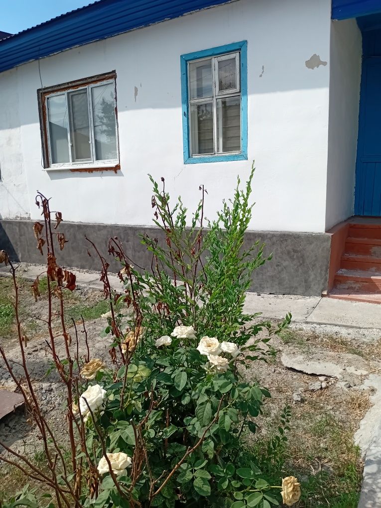 Срочно продам квартиру, четырёх квартирном доме