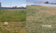 Уборка участка, скос травы