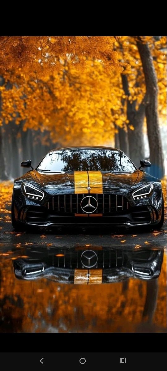 Mercedes bens e220