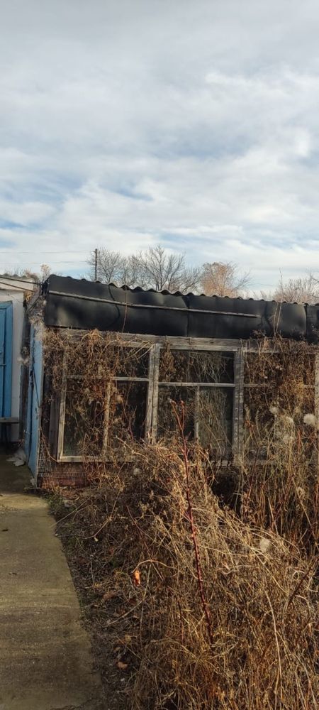 Продам срочно  дачу в Коктале Жамбылская область