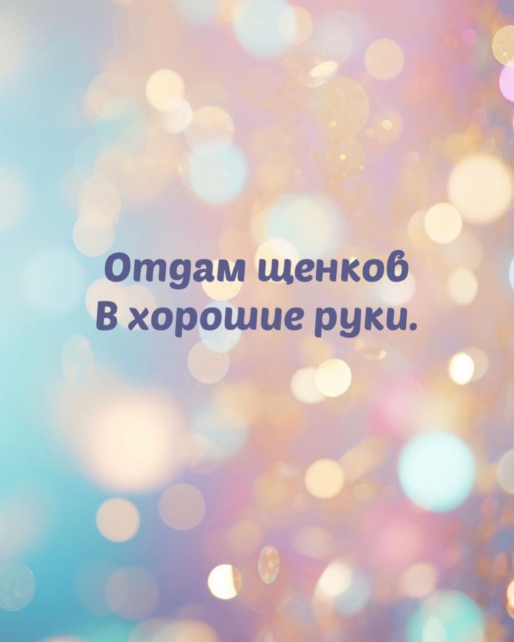 Отдам щенков в хорошие руки.
