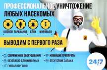 Уничтожение тараканов, клопов, крыс. Дезинсекция Дезинфекция