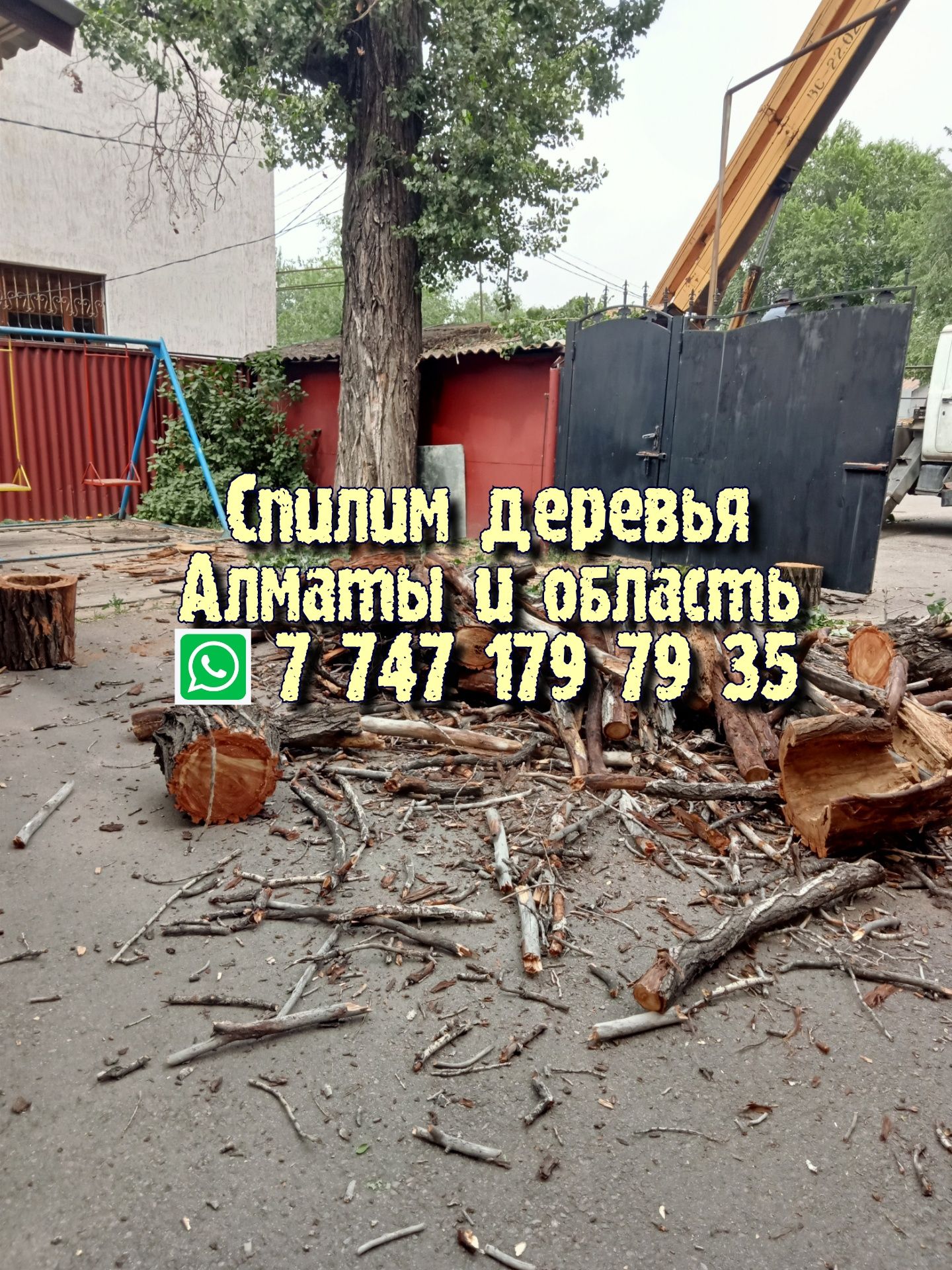 Спилим деревья. Спил деревьев. Автовышка.Спилить пилим. Ағаш кесу. Ага