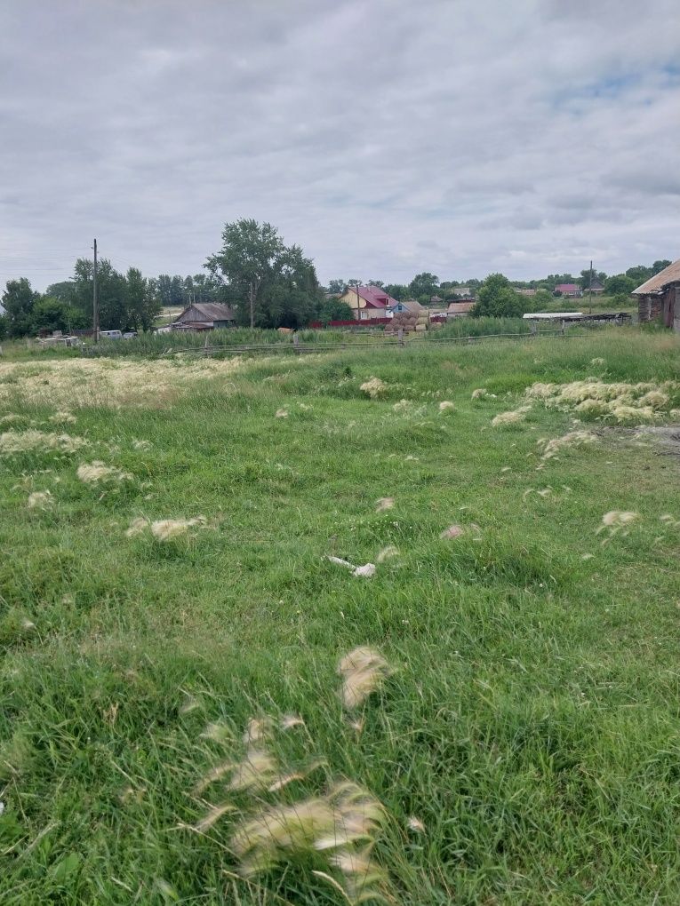 Земля в аренду  под теплицу