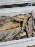 Рыба красная морская мороженая