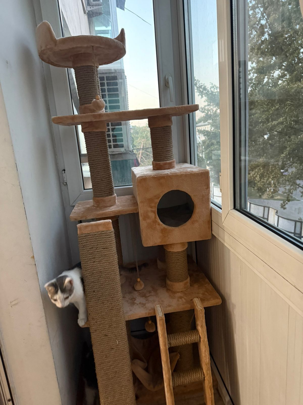 Продам дом для котиков
