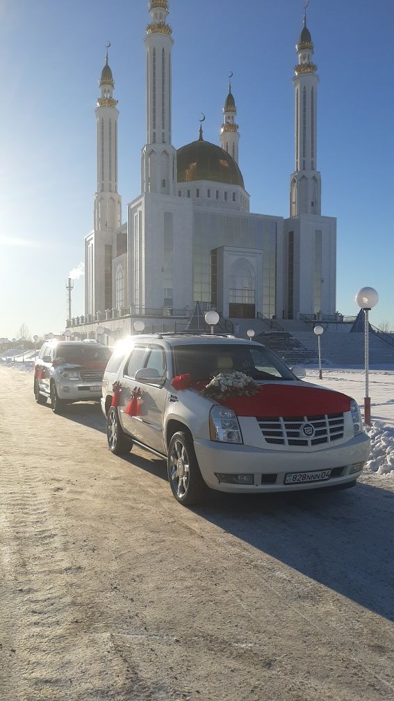 Прокат Аренда Авто 24/7 Кортеж Кудалык Вип Такси Пассажирские перевозк