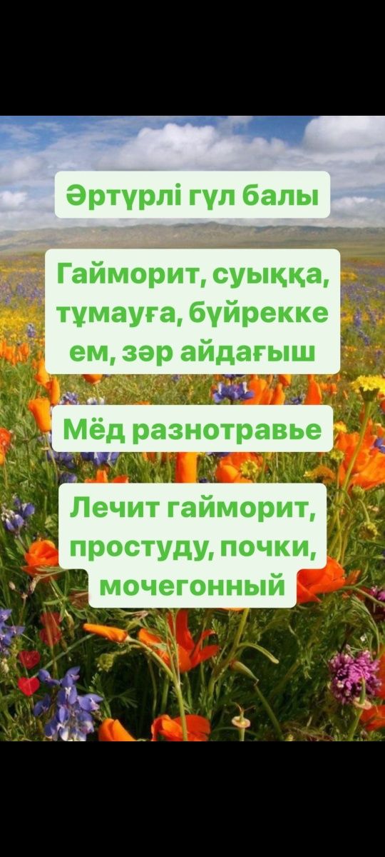 100% Табиғи бал Таза, Мёд Исмаилдан, Қоспасыз Иммунитетке пайдалы!